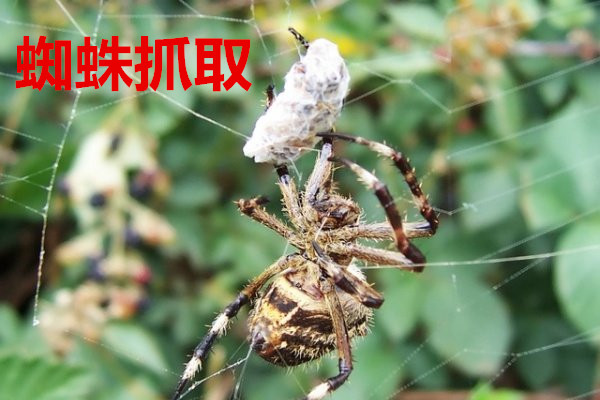 選擇電動伸縮門有哪些技巧？使用時要注意這